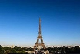 Eco-Friendly Franchises