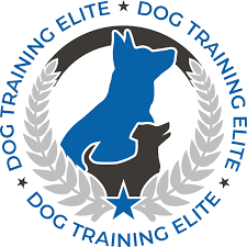 Dog Training Elite