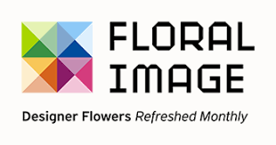 Eco-Friendly Franchises