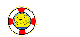 Baby Otter Swim School