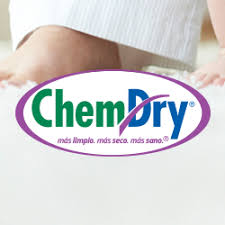 Eco-Friendly Franchises