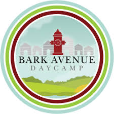 Bark Avenue Daycamp