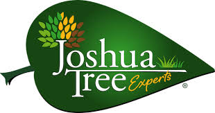 Joshua Tree Experts